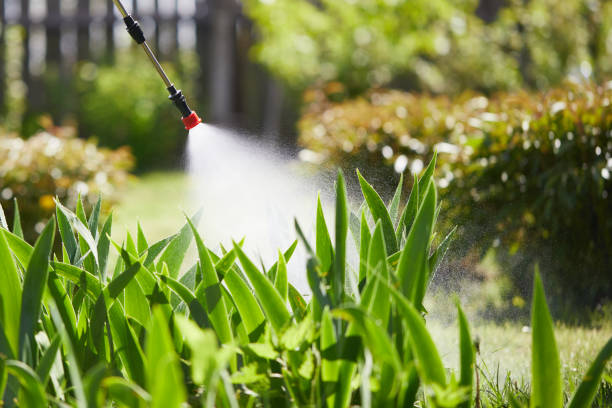 24/7 Emergency Cockroach Control experts in Maplewood, MO