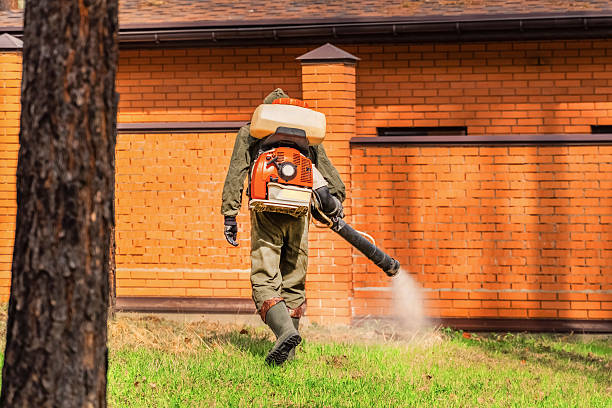 Trusted Emergency Pest Control service in Maplewood, MO - Nex Pest Control